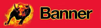 banner logo